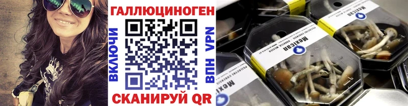 Галлюциногенные грибы Cubensis  Мосальск 